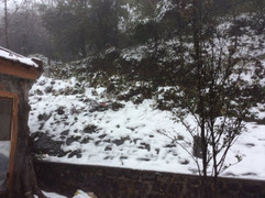 Mẫu Sơn lạnh cóng, dân chờ tuyết thất vọng