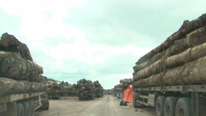 Hàng trăm xe tải 'nằm chết' ở cửa khẩu vì công văn