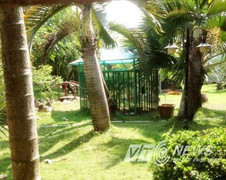 Gấu cắn lìa tay bé trai 3 tuổi: Gia đình 'đại gia' nuôi gấu 'chui'