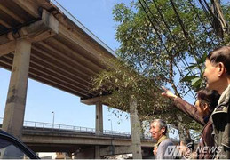 Tiếng 'dội bom' hành dân trên cầu Thăng Long