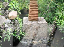 Chuyện kinh dị về hòn đá kê đầu người cho voi dẫm ở Bình Định