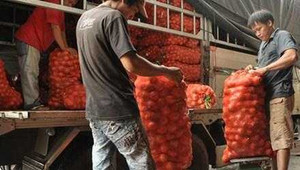 Bộ Tài chính: Cước vận tải giảm phù hợp giá xăng