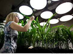 6 ngành 'ăn nên làm ra' khi trái đất ngày một nóng lên