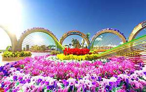 Đà Nẵng sẽ có đường hoa 'rực rỡ sắc xuân 2015'