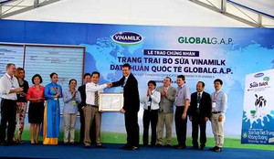 Vinamilk thu mua hơn 183 triệu kg sữa tươi năm 2014