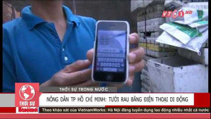 Xem nông dân TP.HCM tưới rau bằng điện thoại di động