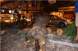 Cây xanh đổ đè nát 2 xe du lịch dừng đèn đỏ