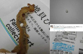 Ăn sò điệp chiên tìm thấy ngọc trai quý