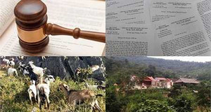 Dê 'lạc' vào nhà Bí thư và chuyện giấu đầu hở đuôi