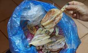 Cứu sống 3 người ngộ độc do ăn cá nóc