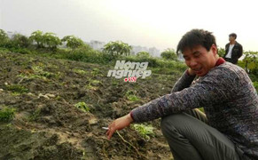 Chuyện gã trai có nhiều ruộng nhất tỉnh Vĩnh Phúc