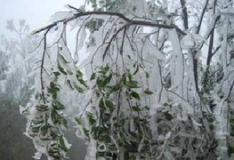 Sẽ có 1-2 đợt rét đậm ở miền Bắc trước Tết Nguyên đán Ất Mùi