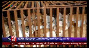 Hà Nội: Bắt giữ 2,4 tấn mèo không rõ nguồn gốc