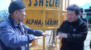 Giám đốc LHP Busan bị ép từ chức vì chiếu phim đắm phà Sewol