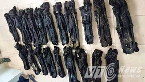 Phát hiện 20 xác linh trưởng sấy khô trên xe khách