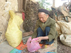 Lang y già với biệt tài chữa bệnh từ 36 cây thuốc