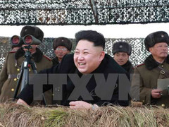 Triều Tiên chỉ trích 'những con chó dại' sau bình luận của Mỹ