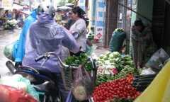 Rét đậm, rau xanh thi nhau đội giá