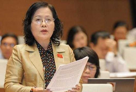 'Chẳng lẽ đến khi người nước ngoài lên tiếng chúng ta mới vào cuộc sao'?