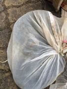 Hành khách hốt hoảng ngồi cùng xe với rắn hổ chúa nặng 3kg