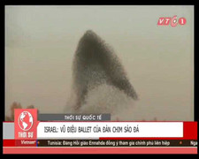 Clip: Đàn chim sáo đá tạo hình kỳ ảo trên bầu trời Israel