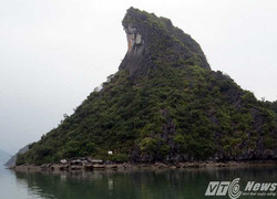 Chiêm ngưỡng những hòn đảo tuyệt đẹp trên vịnh Cát Bà