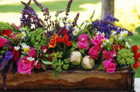 Những ý tưởng hoa Tết độc đáo cho căn hộ tràn ngập sắc xuân