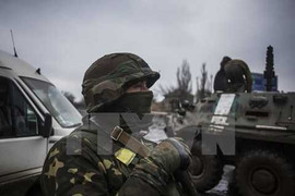 Đại sứ Mỹ dự đoán Nga không can thiệp quy mô lớn vào Ukraine