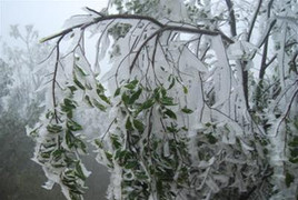 Rét đậm bao phủ Bắc Bộ, Mẫu Sơn lạnh 2 độ C