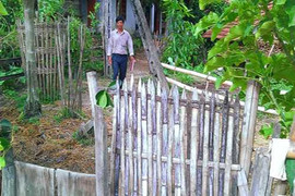 Kỳ lạ chuyện lá cây giữ cửa khiến kẻ lạ mặt không dám xâm phạm