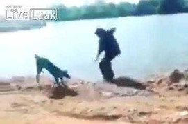 Clip: Trêu chó và cái kết bi hài