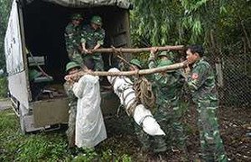 Xử lý quả bom nặng hơn 230 kg gần khu dân cư