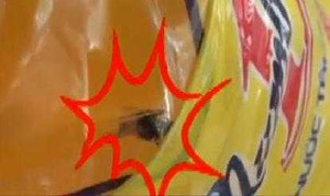 Vụ 'con ruồi giá 500 triệu': Cục An toàn Thực phẩm vào cuộc