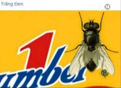 Cộng đồng mạng kêu gọi tẩy chay nhãn hiệu nước ngọt bị tố có ruồi