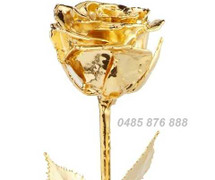 Quà tặng 'Độc & Lạ' mùa Valentine 2015: Hoa hồng mạ vàng Ấn Độ