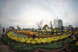 Đà Nẵng chính thức mở cửa đường hoa Xuân 2015