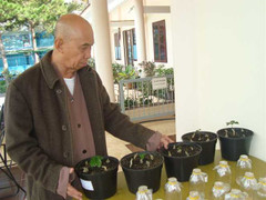 Chuyện nhà sư gieo trồng, nhân giống ‘thần dược’ sâm Ngọc Linh