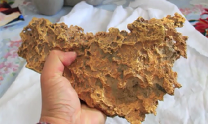 Cận cảnh cục vàng tự nhiên khổng lồ nặng 8kg