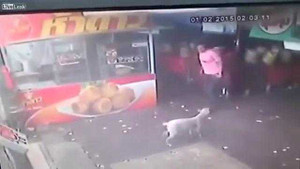 Ngã chổng vó vì... đá chó