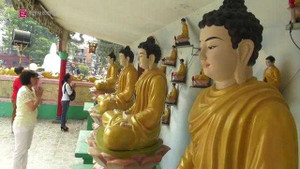 Đầu năm người người đi chùa cầu bình an