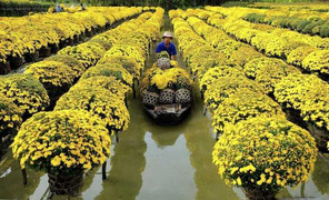 Những địa điểm du xuân tuyệt vời nhất dịp Tết Ất Mùi