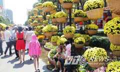 Chơi cây cảnh năm Ất Mùi thế nào cho may mắn?