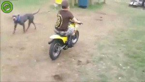 Tập lái xe máy, lao thẳng vào hàng rào