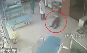 Trung Quốc: Bệnh nhân ném đồ, lật giường, bác sỹ bất lực