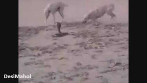 Cuộc chiến không cân sức