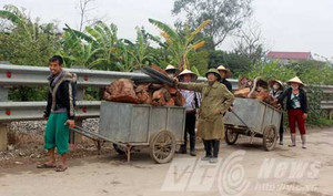Kỳ bí ngôi đền giúp hàng ngàn người hết điên ở Hưng Yên