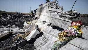 Bước tiến mới vụ điều tra MH17 bị bắn rơi