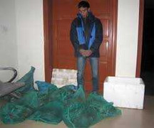 Khởi tố tên trộm chuyên săn rắn hổ mang