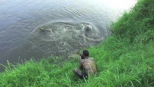 Chụp hình cá sấu, nhiếp ảnh gia suýt mất mạng