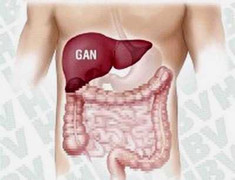 Virus viêm gan A 'tấn công' người dễ dàng thế nào?